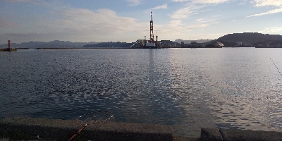 タチウオ夜釣り