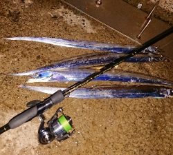 タイミング次第かな