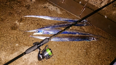 タイミング次第かな