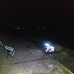 苅屋海岸のキス釣り