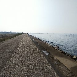 苅屋海岸のキス釣り