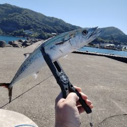 香住　青物遠征