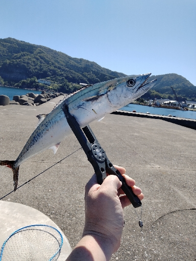 香住　青物遠征