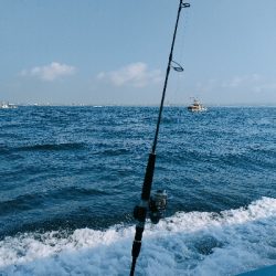 明石ジギングにてサバ爆釣