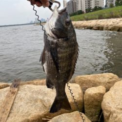 駐車場横でサクッと釣って帰る