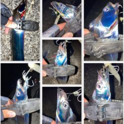 シオ!2021ライトゲーム第28戦