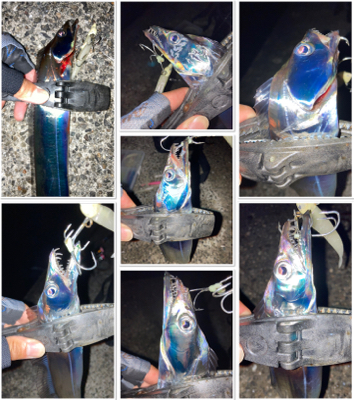 シオ!2021ライトゲーム第28戦