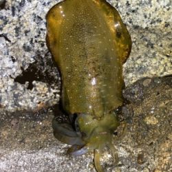 マナーを大切に!