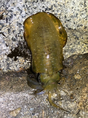 マナーを大切に!