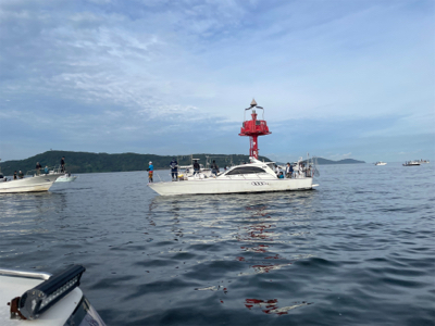 まだまだタチウオ