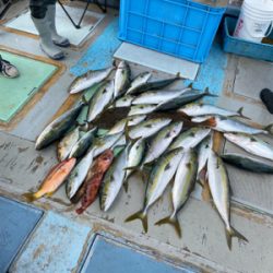 落とし込み釣り