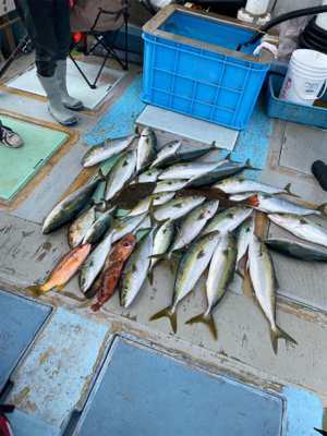 落とし込み釣り