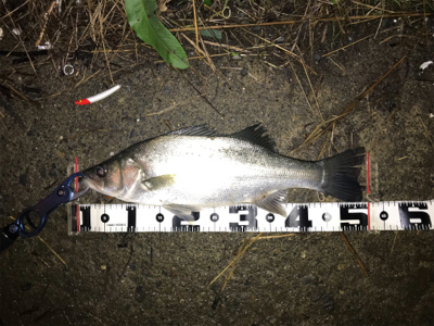 食い込みが浅いかと思いきやフックが伸びてい…