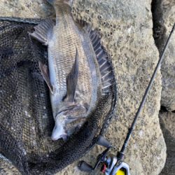 パターン掴むのが毎回遅い