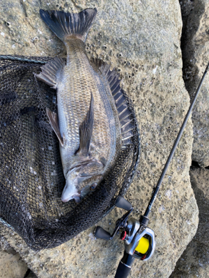 パターン掴むのが毎回遅い