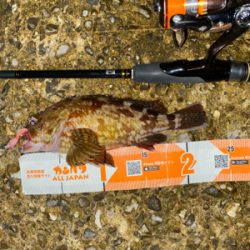 秋の気配がぼちぼち