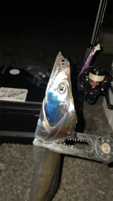 タチウオナイト