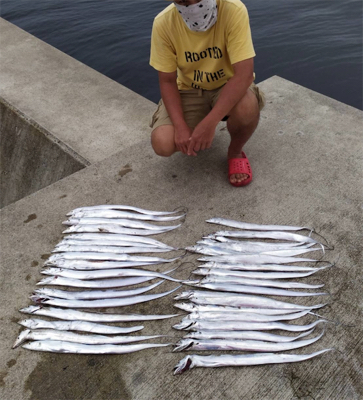 タチウオ入れ食い❗þ…