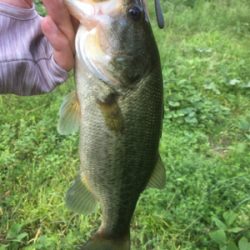 流れ＋シェード＋カバー