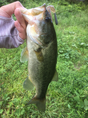 流れ＋シェード＋カバー