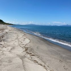 マゴチは裏切らない！