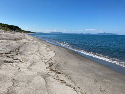 マゴチは裏切らない！