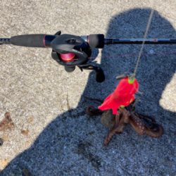 ⭐︎サイズダウン