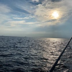 南港タチウオどこ?