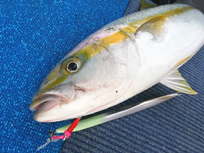 １年ぶりのガッツリジギング♪