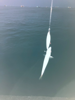 関電赤灯青物ゲーム