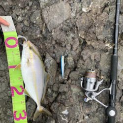 ロックショア４目魚