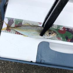 涼しくなりましたね〜