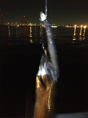 小さいがよく釣れる