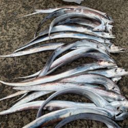 エサが足りない