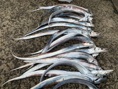 エサが足りない