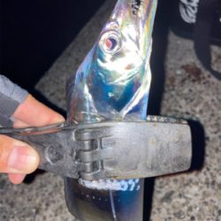 2021ライトゲーム第29戦