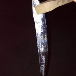 大阪府太刀魚調査に