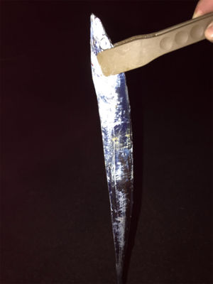 大阪府太刀魚調査に