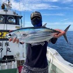 カツオキャスティング