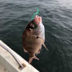 一つテンヤ真鯛