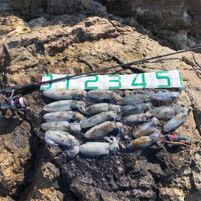 2021佐渡ヶ島エギング 5回目