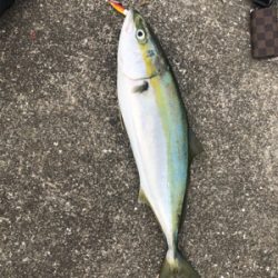 人だらけの神戸空港･･･により付近にてw