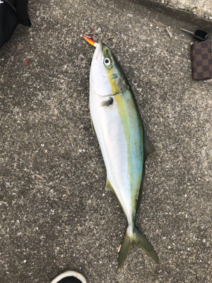 人だらけの神戸空港･･･により付近にてw