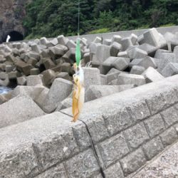 大荒れのなかなんとかヒット