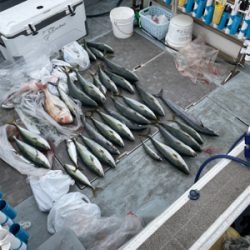 須磨沖明石沖ジギング