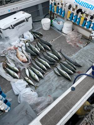 須磨沖明石沖ジギング