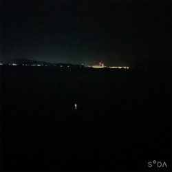 ライトタチウオ