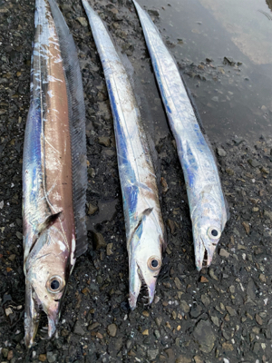 台風が来る前に！
