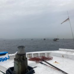 テンヤタチウオ