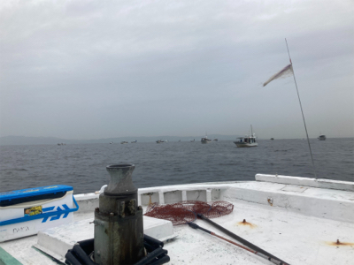 テンヤタチウオ